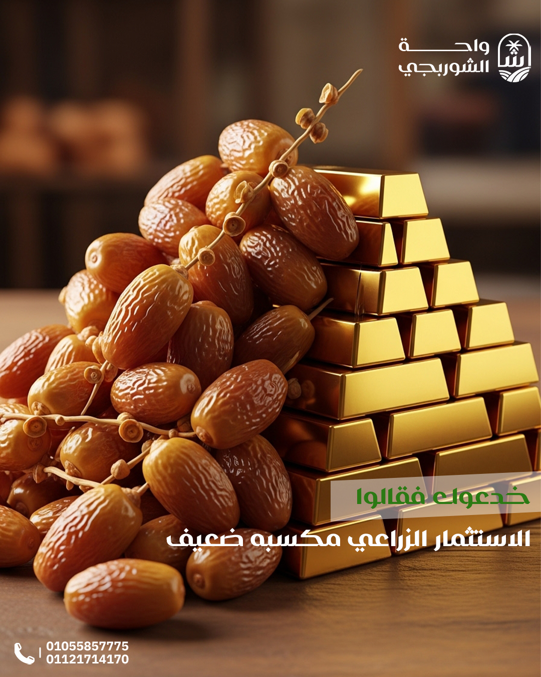 Social Media Designs for El Shorbagy Oasis — 5